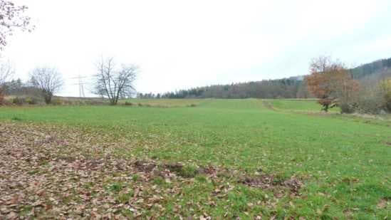 Thumbnail 21