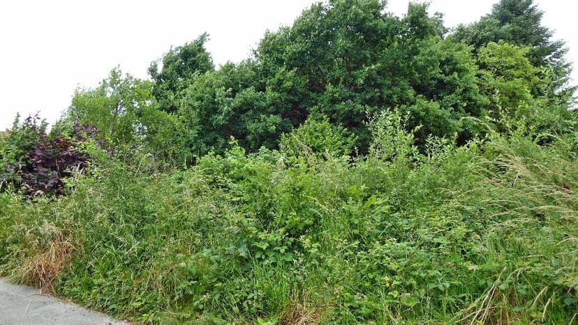 unbebautes Grundstück