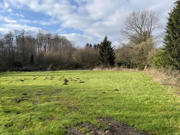 Landwirtschaftsfläche, Grünfläche - Bild 1