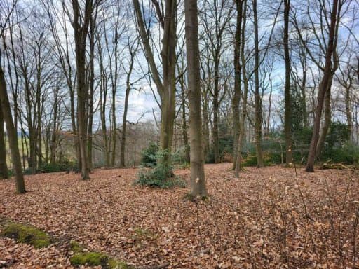 land- und forstwirtschaftlich genutztes Grundstück