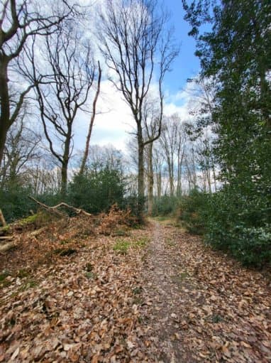 land- und forstwirtschaftlich genutztes Grundstück - Bild 1