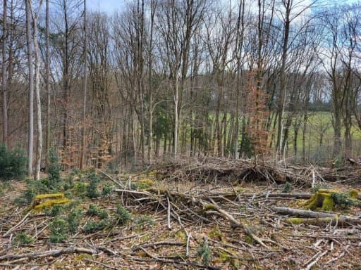 land- und forstwirtschaftlich genutztes Grundstück