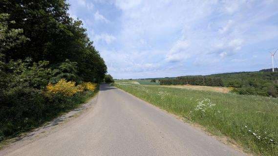 land- und forstwirtschaftlich genutztes Grundstück
