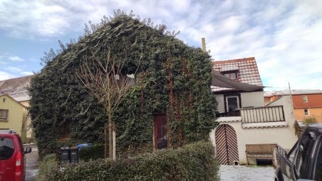 Einfamilienhaus - Bild 1