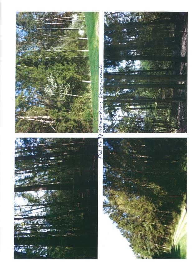 land- und forstwirtschaftlich genutztes Grundstück - Bild 1