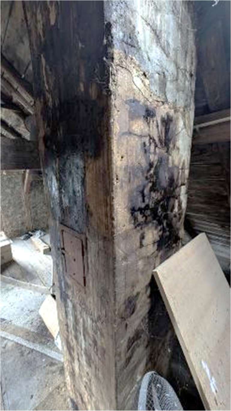 Einfamilienhaus - Bild 1