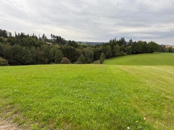 land- und forstwirtschaftlich genutztes Grundstück - Bild 1