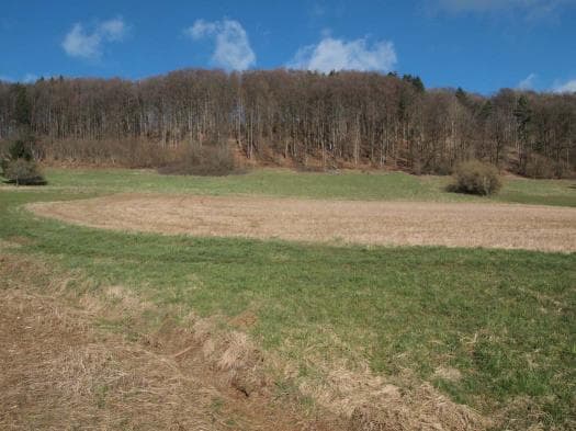 unbebautes Grundstück, land- und forstwirtschaftlich genutztes Grundstück