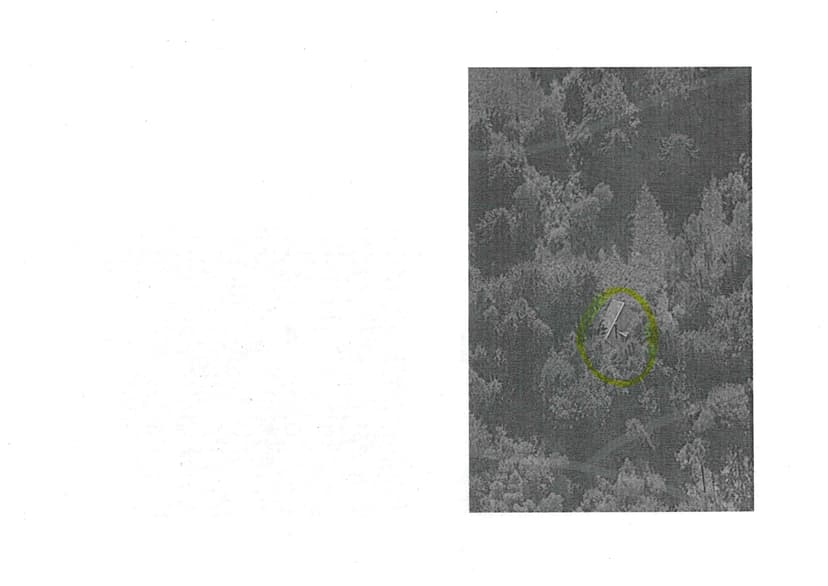 land- und forstwirtschaftlich genutztes Grundstück