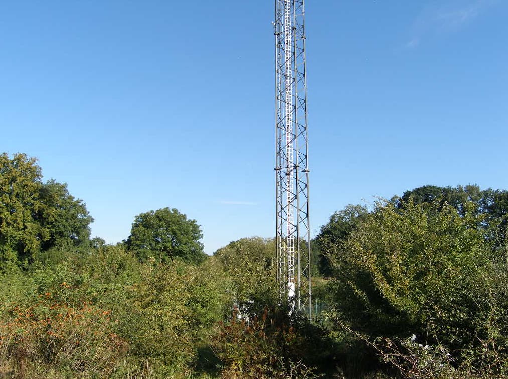 land- und forstwirtschaftlich genutztes Grundstück - Bild 1