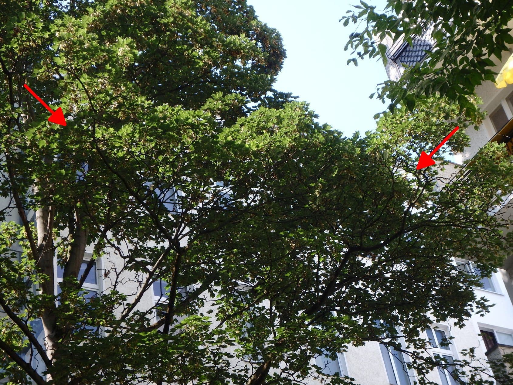 Eigentumswohnung (3 bis 4 Zimmer) - Bild 1