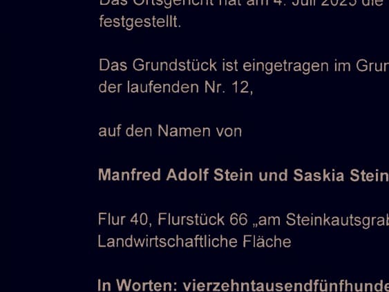 land- und forstwirtschaftlich genutztes Grundstück - Bild 1