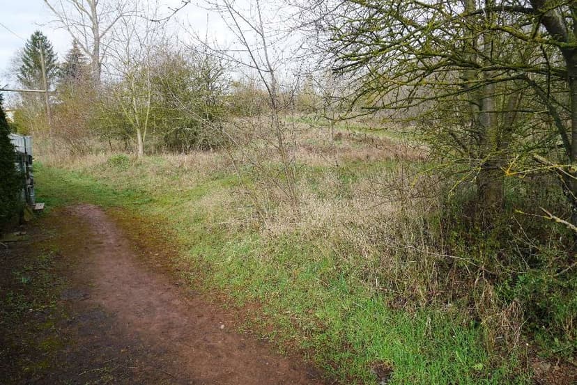 unbebautes Grundstück