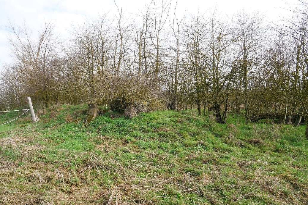 unbebautes Grundstück - Bild 1