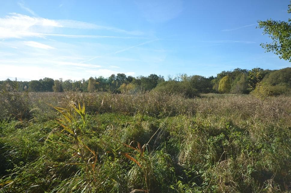 Sonstiges, unbebautes Grundstück - Bild 1