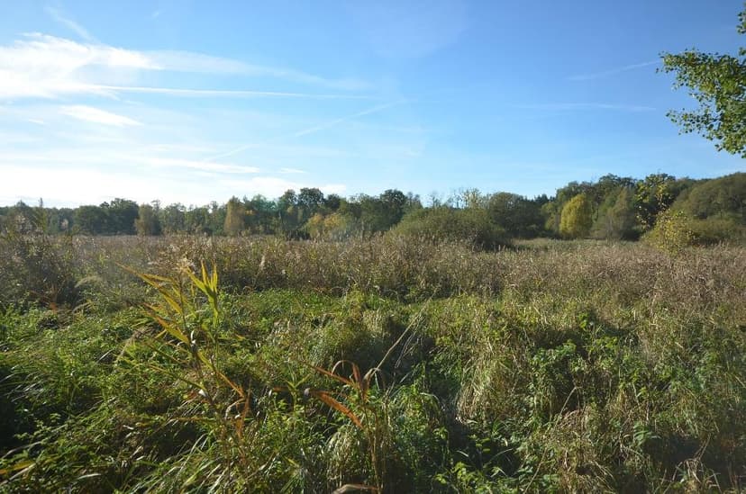 Sonstiges, unbebautes Grundstück