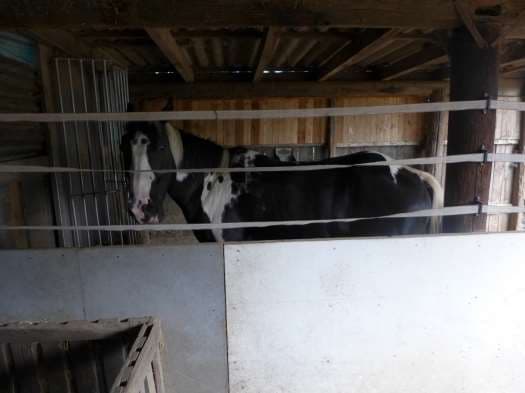 land- und forstwirtschaftlich genutztes Grundstück - Bild 1