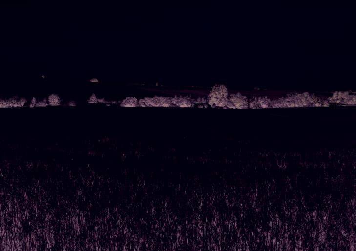 land- und forstwirtschaftlich genutztes Grundstück - Bild 1