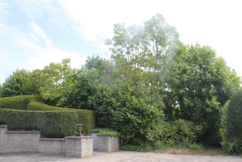 unbebautes Grundstück - Bild 1