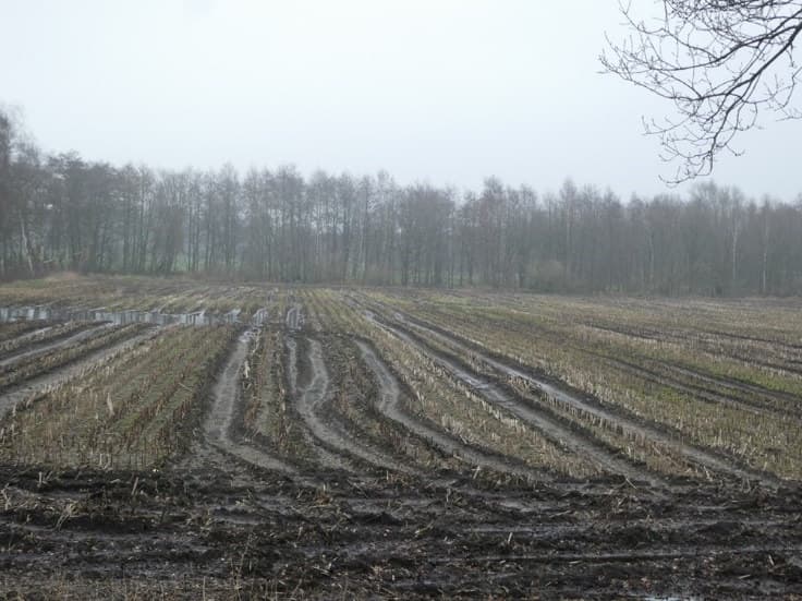 land- und forstwirtschaftlich genutztes Grundstück