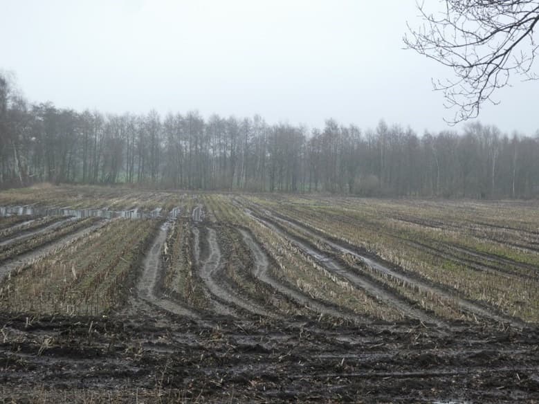 land- und forstwirtschaftlich genutztes Grundstück - Bild 1