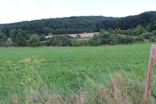 land- und forstwirtschaftlich genutztes Grundstück