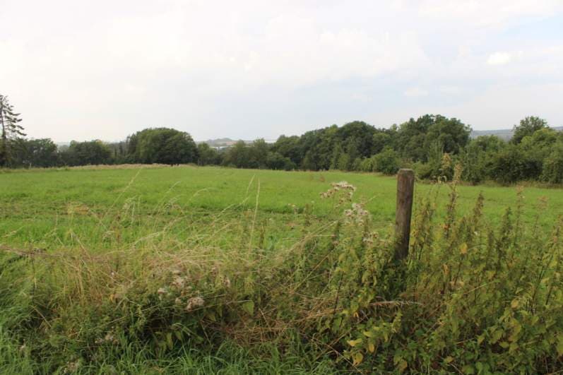 land- und forstwirtschaftlich genutztes Grundstück - Bild 1