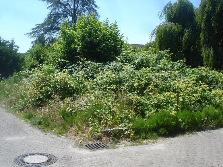 unbebautes Grundstück