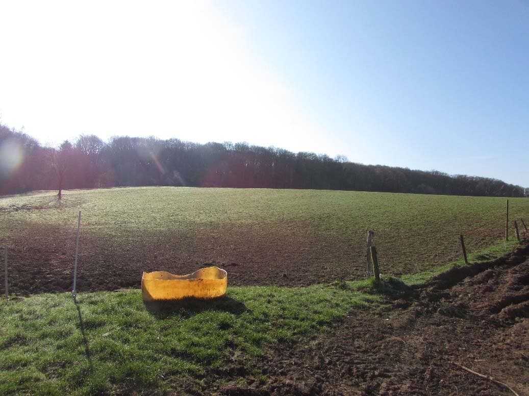 land- und forstwirtschaftlich genutztes Grundstück - Bild 1