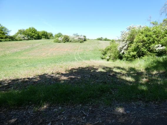 land- und forstwirtschaftlich genutztes Grundstück - Bild 1