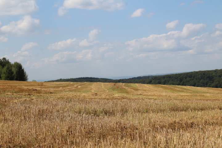 unbebautes Grundstück