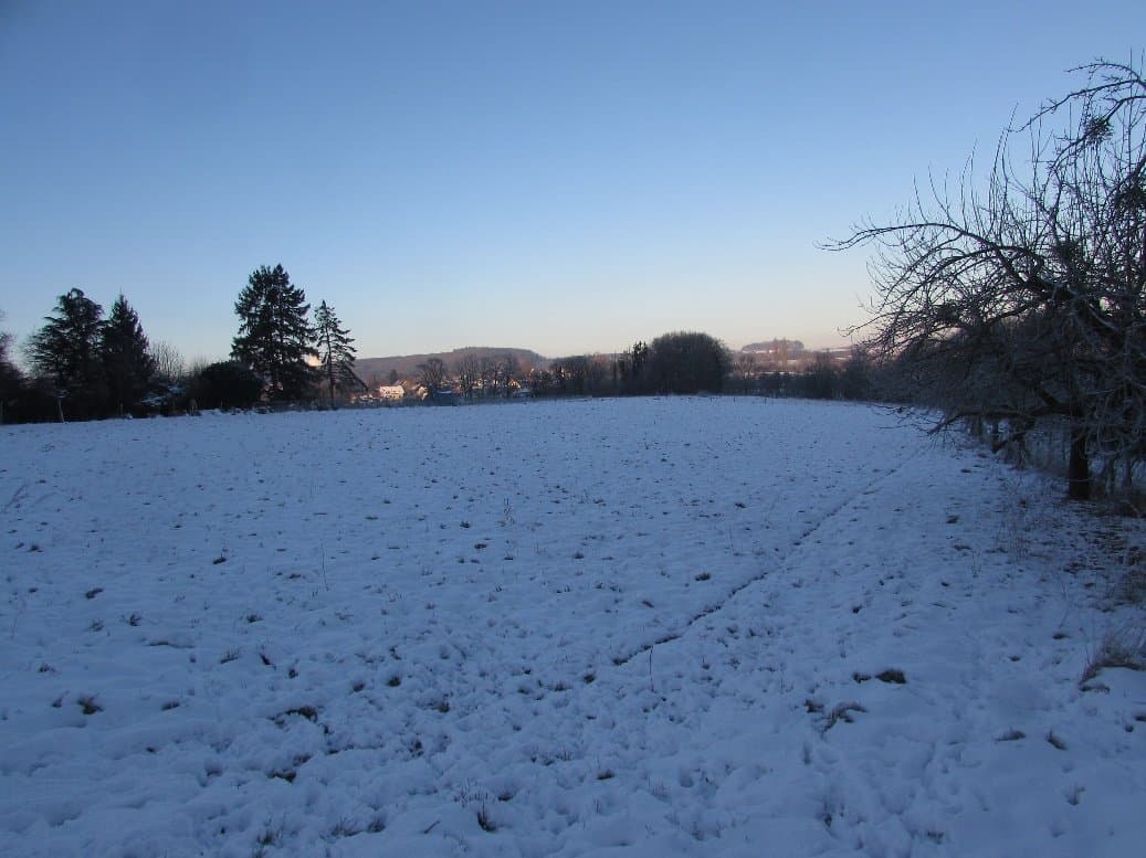 land- und forstwirtschaftlich genutztes Grundstück - Bild 1