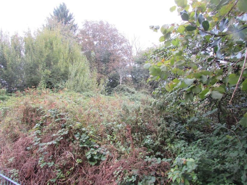 unbebautes Grundstück, in der Gemarkung Bensberg-Freiheit