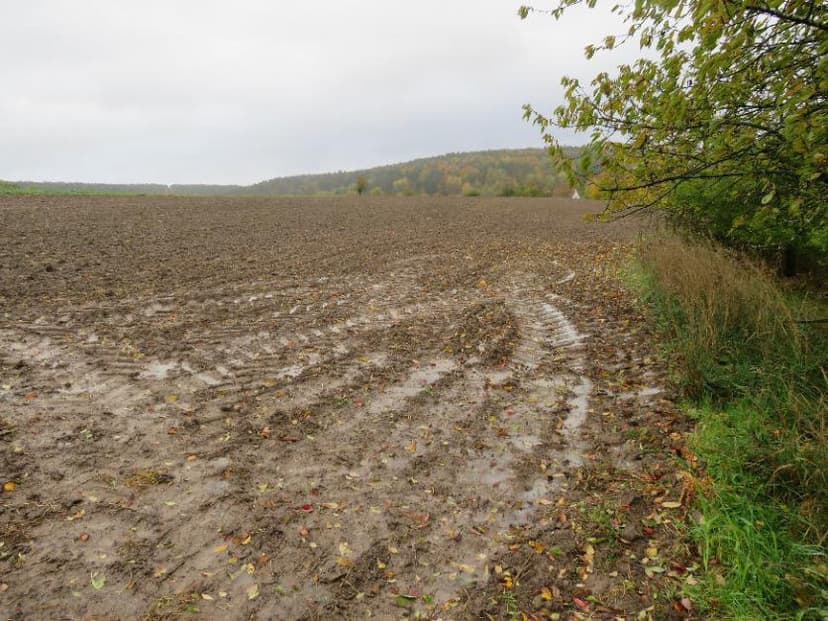 unbebautes Grundstück, land- und forstwirtschaftlich genutztes Grundstück