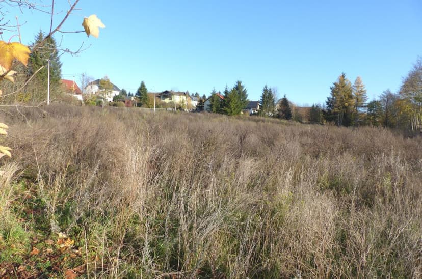 unbebautes Grundstück