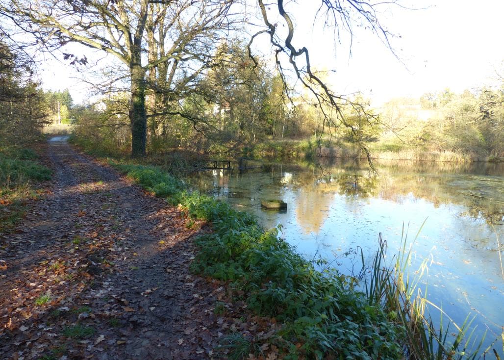 unbebautes Grundstück - Bild 1