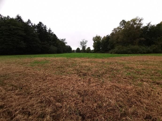 land- und forstwirtschaftlich genutztes Grundstück - Bild 1