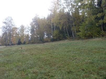 land- und forstwirtschaftlich genutztes Grundstück