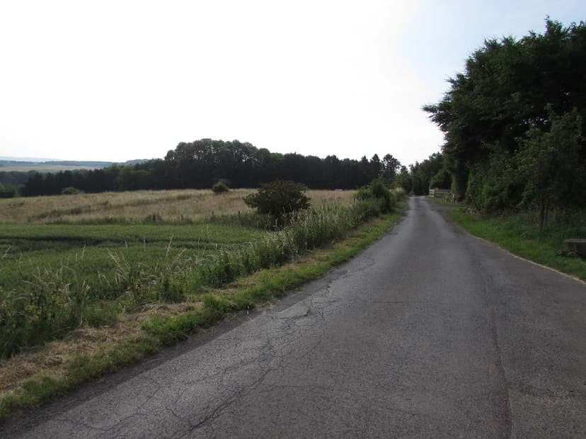 unbebautes Grundstück