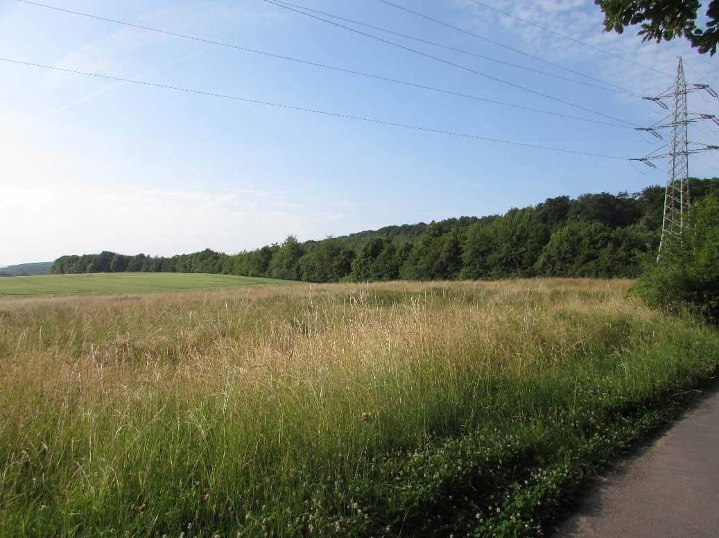 unbebautes Grundstück - Bild 1