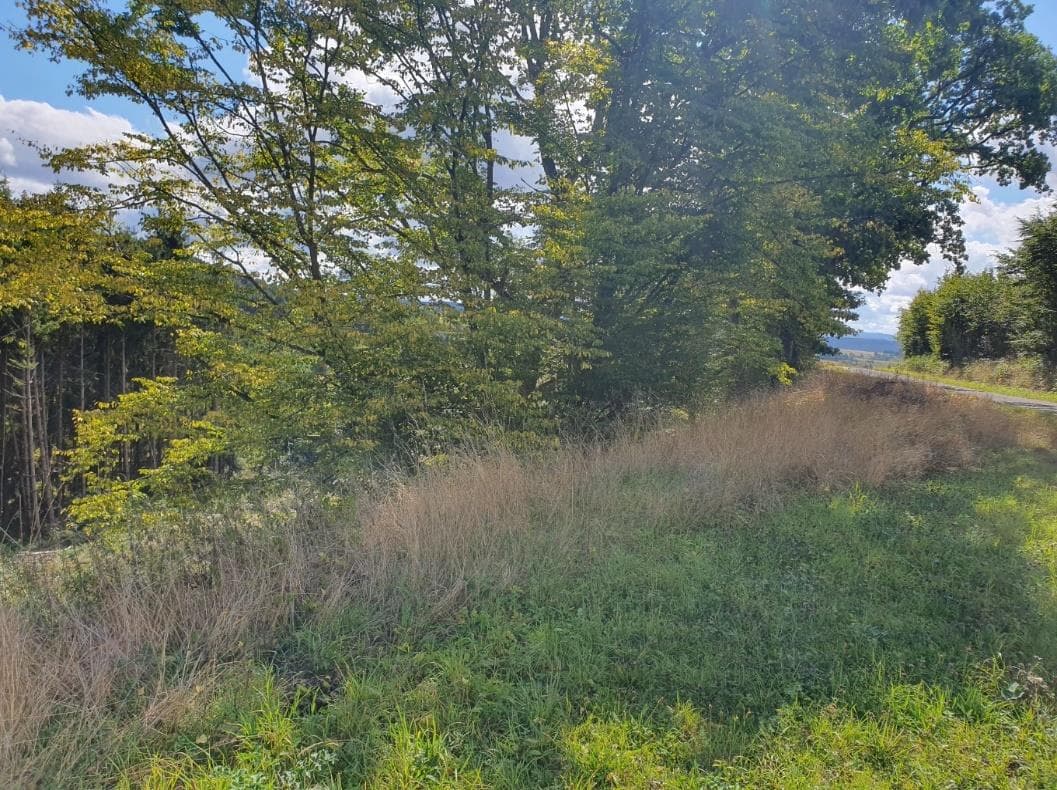 land- und forstwirtschaftlich genutztes Grundstück - Bild 1