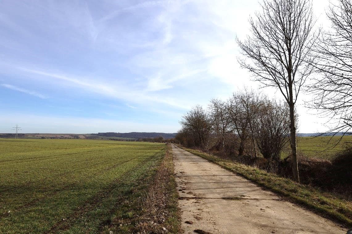 land- und forstwirtschaftlich genutztes Grundstück, Ackerland - Bild 1