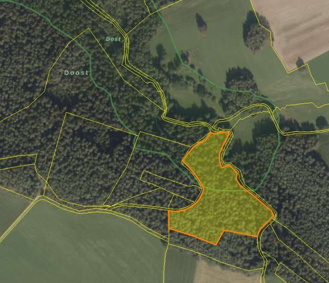 Waldfläche und Verkehrsfläche