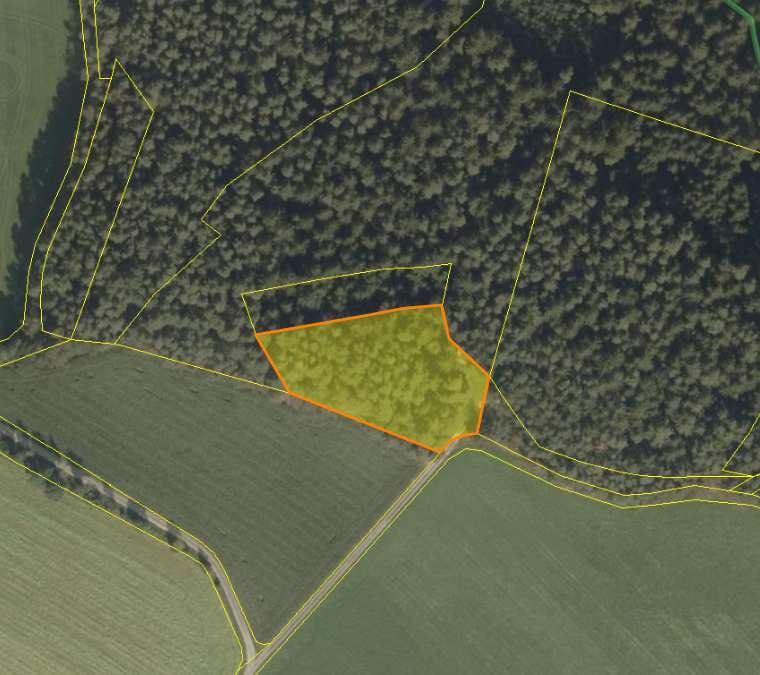 Waldfläche - Bild 1