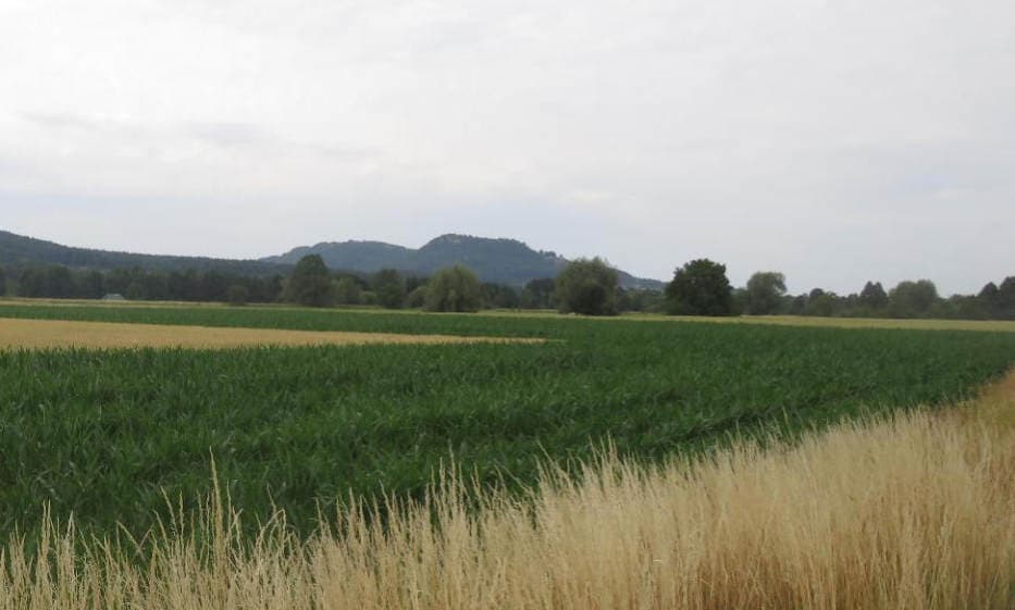 unbebautes Grundstück, land- und forstwirtschaftlich genutztes Grundstück - Bild 1