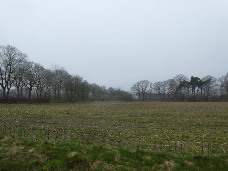 land- und forstwirtschaftlich genutztes Grundstück