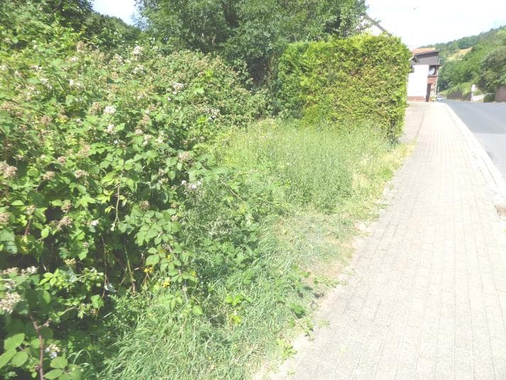 Wohnhaus mit Nebengebäude, PKW-Stellplatz - Bild 1