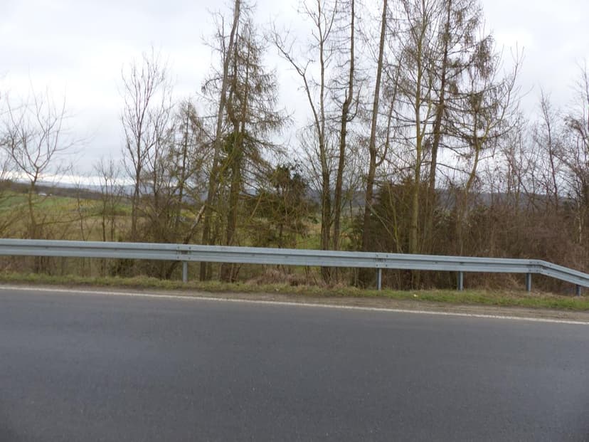 unbebautes Grundstück