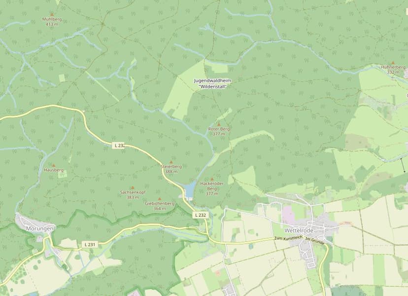 land- und forstwirtschaftlich genutztes Grundstück