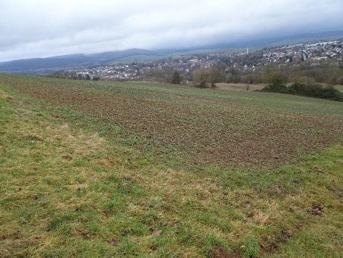 land- und forstwirtschaftlich genutztes Grundstück - Bild 1